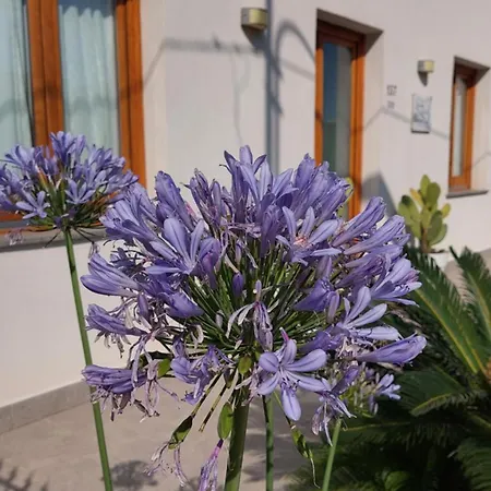 La Mia Isola Bed & Breakfast 3*